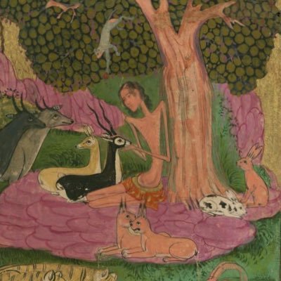 falliblest's profile picture. Fool @hyperdulian