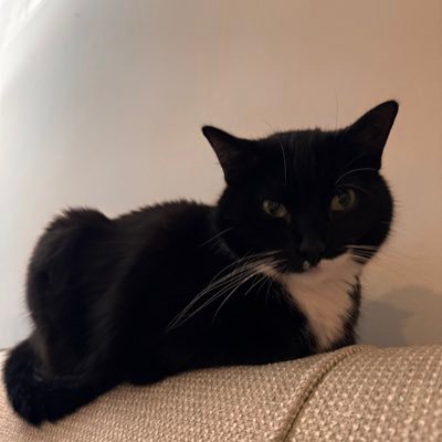 hawk_eye70's profile picture. 