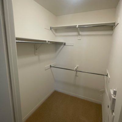 orangatangbang's profile picture. 