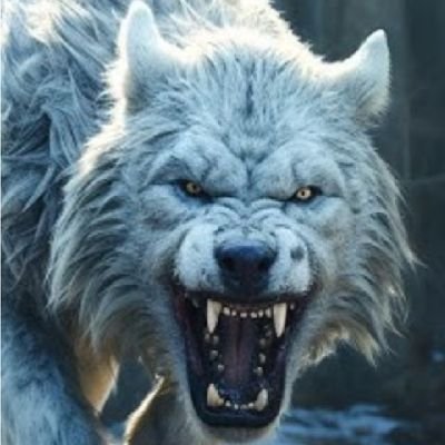 Green35714's profile picture. 🇺🇸TRUMP 2024🇺🇸
