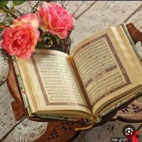 ساره العتيبي 🇸🇦 (@ly6805034086500) 's Twitter Profile