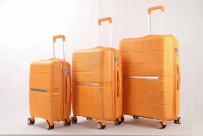 Luggage Manufacturing | Premium Luggage Solutions | Global Sales
International Sales Manager at Dongguan Feisite Technology Co., Ltd, Guangdong , China