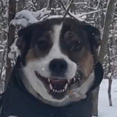 deepellumdog's profile picture. The curious skeptic will discover empirical evidence leading to rational explanation.