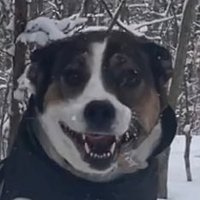 Charlie Brown (@densityclimber) 's Twitter Profile Photo Charlie Brown (@densityclimber) 's Twitter Profile Photo