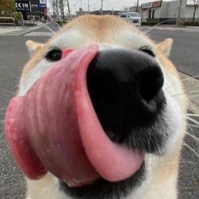 myong_se's profile picture. 카미새