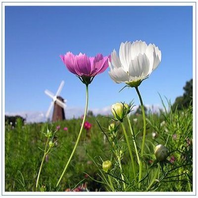 andi781668's profile picture. 宝妈，分享育儿经验，记录生活，见证自己的成长，不作为任何投资意见