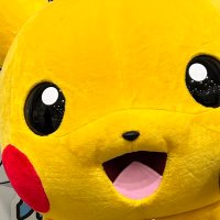 きゅうのまま(ポケモン好きと繋がりたい) (@kyuu1221019) 's Twitter Profile