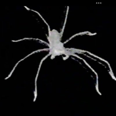 W00MPA's profile picture. ≫POSTING FOR DOCUMENTATION≪
Please interact I’m scared but trying