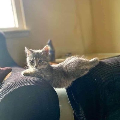 mymysun25's profile picture. 