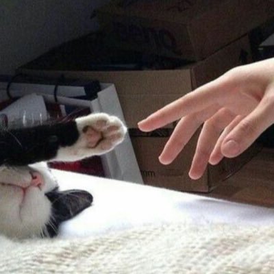 Sabby_WabbyBB's profile picture. 