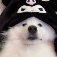 ✮ (@arteemcaos) 's Twitter Profile