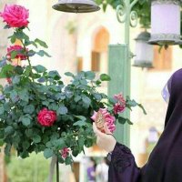 منار الكعبي (@kabee313) 's Twitter Profile Photo منار الكعبي (@kabee313) 's Twitter Profile Photo