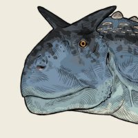 velupio (@velupium) 's Twitter Profile