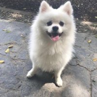 sunflower (@ariajxbcw) 's Twitter Profile