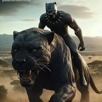 PANTHER (@panther_5674) 's Twitter Profile