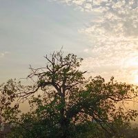 Pawan Tiwari (@pawantiwari115) 's Twitter Profile