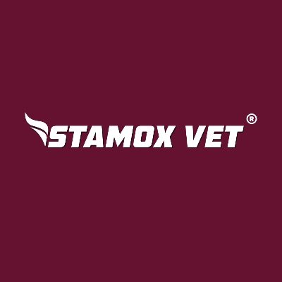 🇳🇴 Veterinarian-Developed Beetroot Powder
🏆 Used by World’s Most Renowned Trainers
🐎 Health, Speed, Power & Endurance
🌍 Worldwide shipping