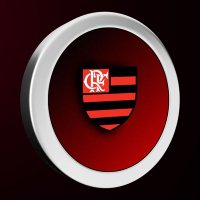 Flamengo Coin (@coinfla) 's Twitter Profile
