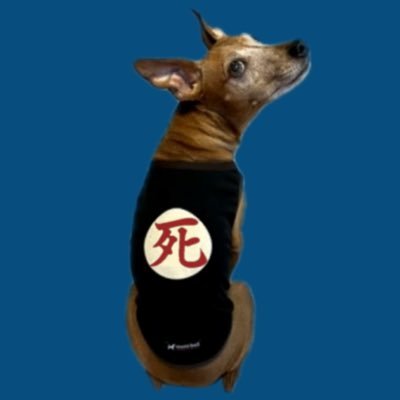 raika28_cpa's profile picture. ゲイバー経営/だんじり事故動画