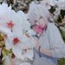 雪うさぎ (@yukiusagi__222) Twitter profile photo 雪うさぎ (@yukiusagi__222) Twitter profile photo