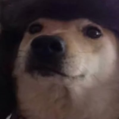 EyKey7744's profile picture. just your typical england 🇬🇧native following size stuff