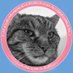 James Murphy #musicbox30 (@jamesmulamb) Twitter profile photo James Murphy #musicbox30 (@jamesmulamb) Twitter profile photo