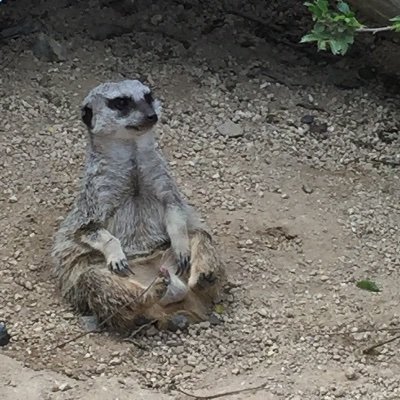 人生とは一生かけての暇潰し。暇潰す為に毎日何かのギャンブルするアカウント。本垢復旧不可能な為転生しました。クソリプは控えます