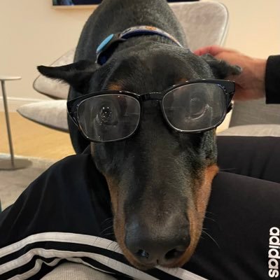 Notladmij's profile picture. 