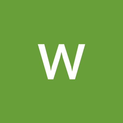 wendyluo344280's profile picture. 