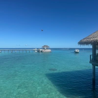 Tien2868191767's profile picture. 