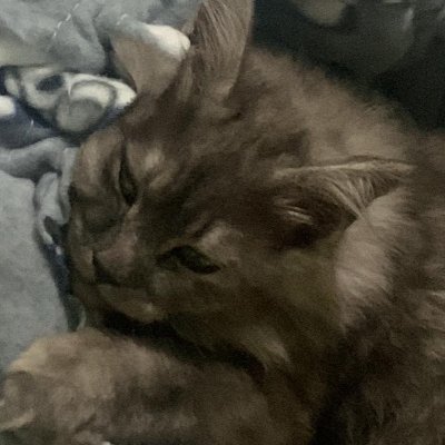 Xiannaarguelles's profile picture. 