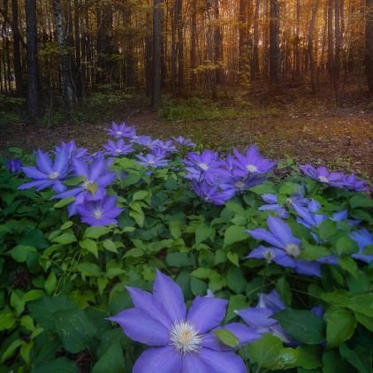 Karey_k_'s profile picture. Proverbs 3:5