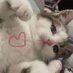 ˖ ᡣ𐭩 ⊹ ࣪ ౨ৎ˚₊ (@aaangellloveee_) Twitter profile photo ˖ ᡣ𐭩 ⊹ ࣪ ౨ৎ˚₊ (@aaangellloveee_) Twitter profile photo