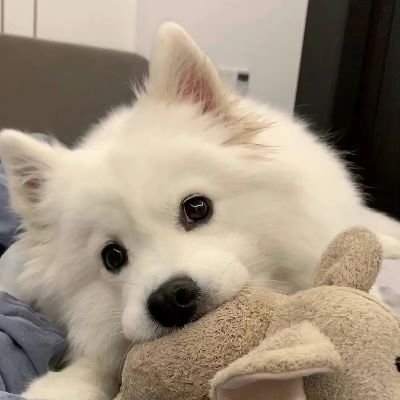 Liiiiin121600's profile picture. 碎碎念