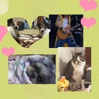 充平(Shuhei)🔔🩷&🐿🍒 (@shu_candygash_y) 's Twitter Profile