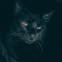 Yağmur Kokusu ⚜️ (@xyagmurkokusu) 's Twitter Profile Photo