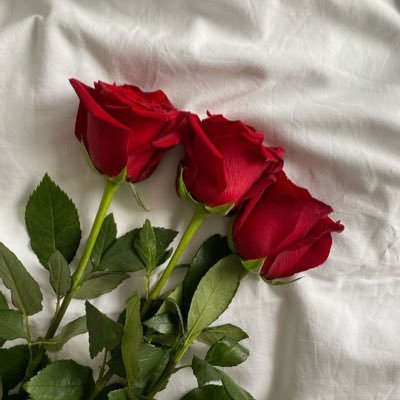 sms_ocean's profile picture. 