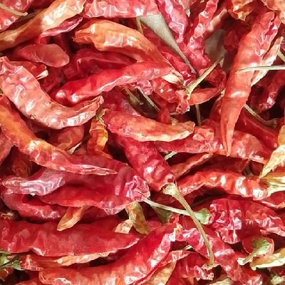 peteronaya's profile picture. 