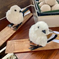 momo (@momo154782) 's Twitter Profile Photo