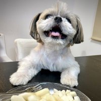 エル (@1ymapkeo6y90461) 's Twitter Profile