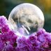 James Akrill - Farmer / Frozen Bubble Photographer (@james_akrill) Twitter profile photo James Akrill - Farmer / Frozen Bubble Photographer (@james_akrill) Twitter profile photo
