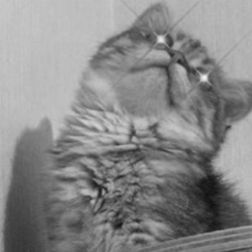 Classic Shone Profile