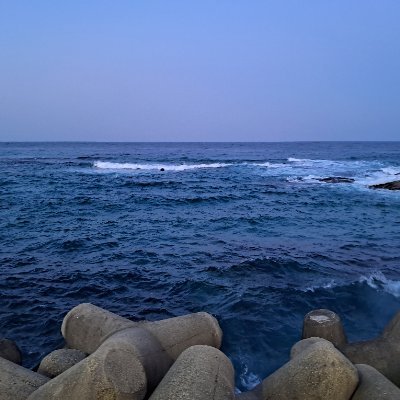 Disue104's profile picture. 구독계