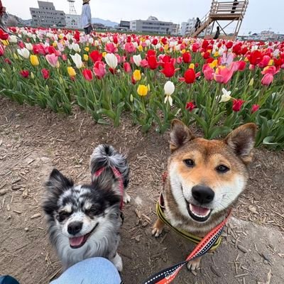 ダーツ始めました🎯よろしくお願いします!
飯塚の自由空間、快活をメインで投げてます‼️
ダーツバーに行ってみたいけど勇気が出ない