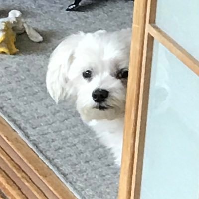 ユニライトさんのプロフィール画像