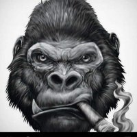 Ben Nelson (@grumpygorilla70) 's Twitter Profile
