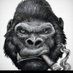 Ben Nelson (@grumpygorilla70) Twitter profile photo Ben Nelson (@grumpygorilla70) Twitter profile photo