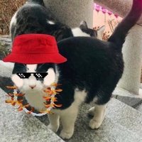 ッ®️©️ (@aaeztar) 's Twitter Profile Photo ッ®️©️ (@aaeztar) 's Twitter Profile Photo