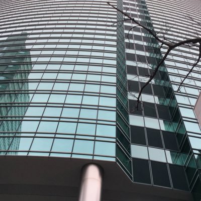 uuuuuuushishi's profile picture. 