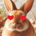🐇風なるもん!🥕名前かえました (@uandi_2525) Twitter profile photo 🐇風なるもん!🥕名前かえました (@uandi_2525) Twitter profile photo